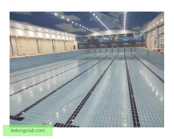 乐动体育登录平台深度解析：全面提升用户体验与安全保障