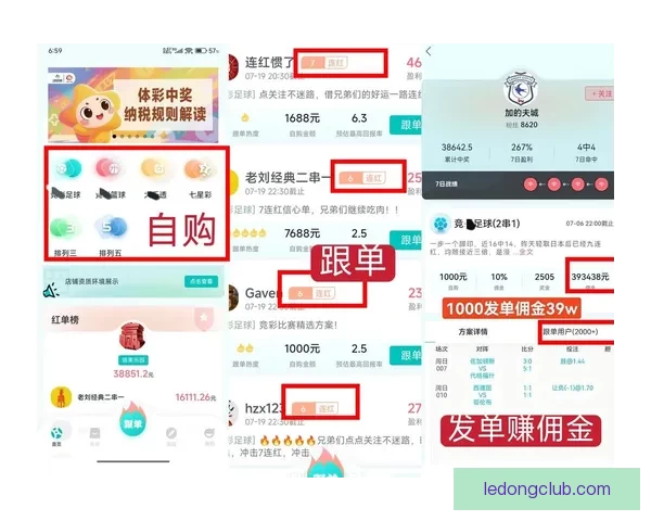 足球竞猜赔率分析揭秘助你精准预测赛事结果技巧